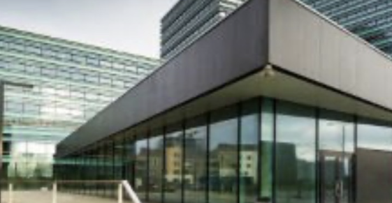 Head Office